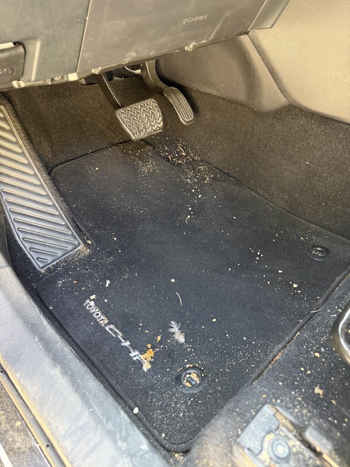 Toyota C-HR, tapis conducteur avant le nettoyage : tapis couvert de terre et de miettes