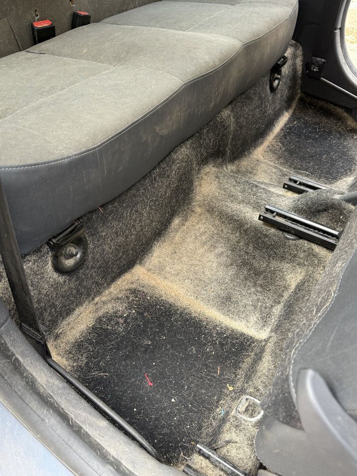 citadine Renault, plancher arrière avant le nettoyage : moquette couverte de poussière et de sable