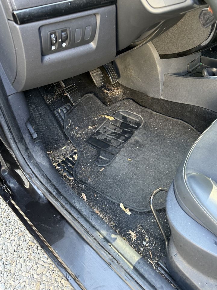 Renault Clio, tapis conducteur avant le nettoyage : tapis jonché de débris